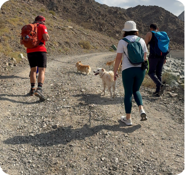 Pet Friendly Hiking in UAE - Bearlots Furry Friends