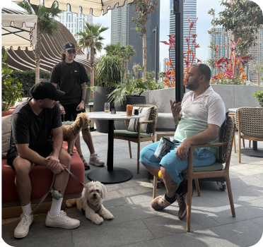 Paws and Learn Pet Training and Education UAE