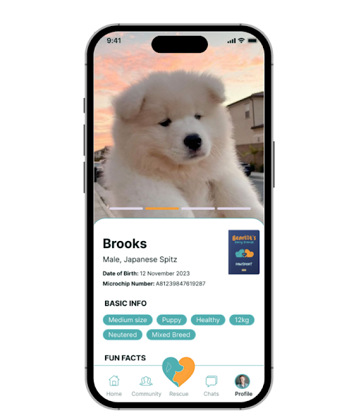 Pet Parent App Screen - BFF Digital Pet Passport and Care Records